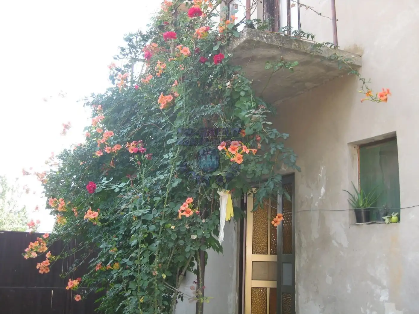 kuca na prodaju Žabalj, 100m2 291203