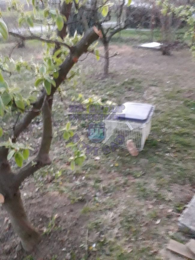 kuca na prodaju Petrovaradin 92m2 338608