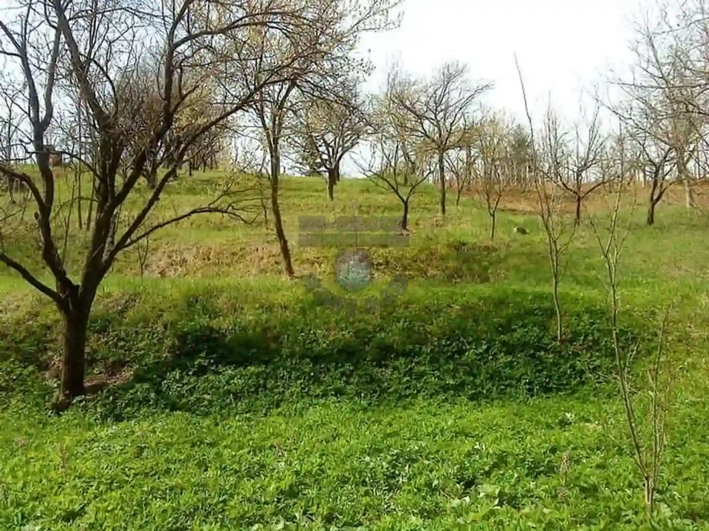 plac na prodaju Sremska Kamenica 1150m2 363376