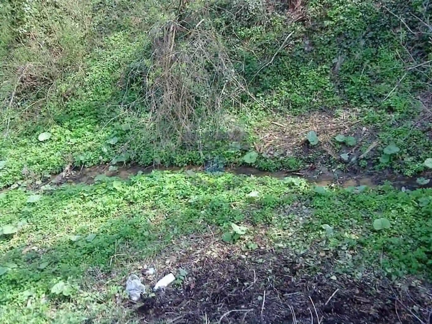 plac na prodaju Sremska Kamenica 1150m2 363376