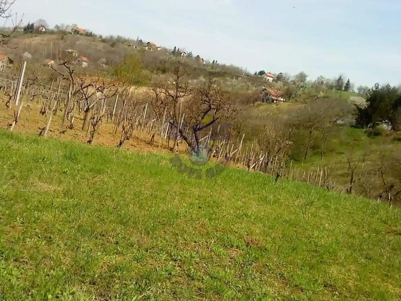 plac na prodaju Sremska Kamenica 1150m2 363376