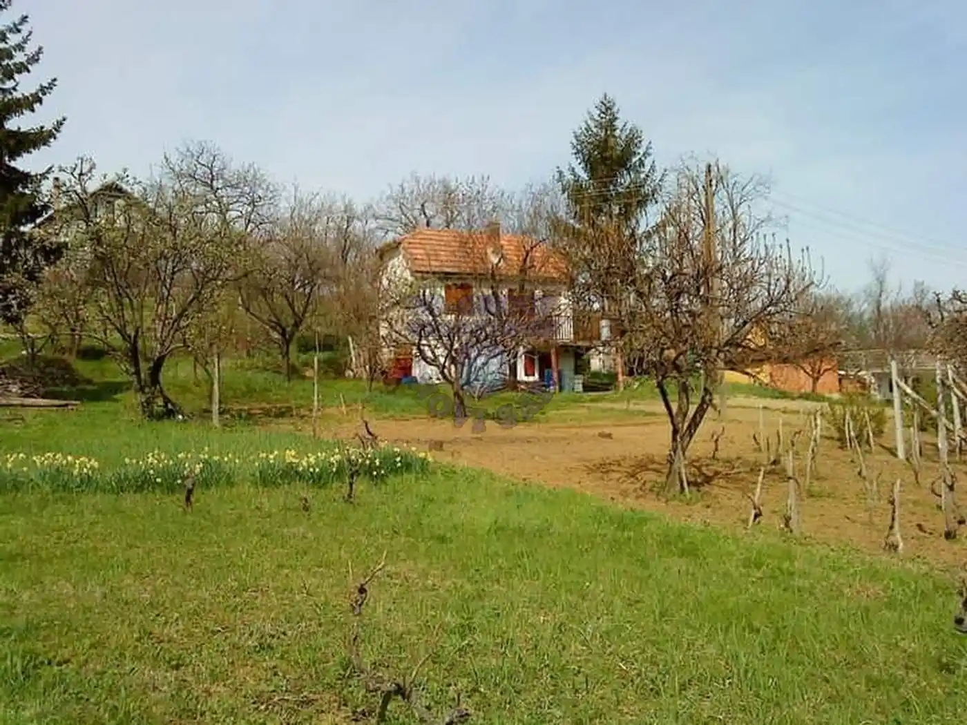 plac na prodaju Sremska Kamenica 1150m2 363376