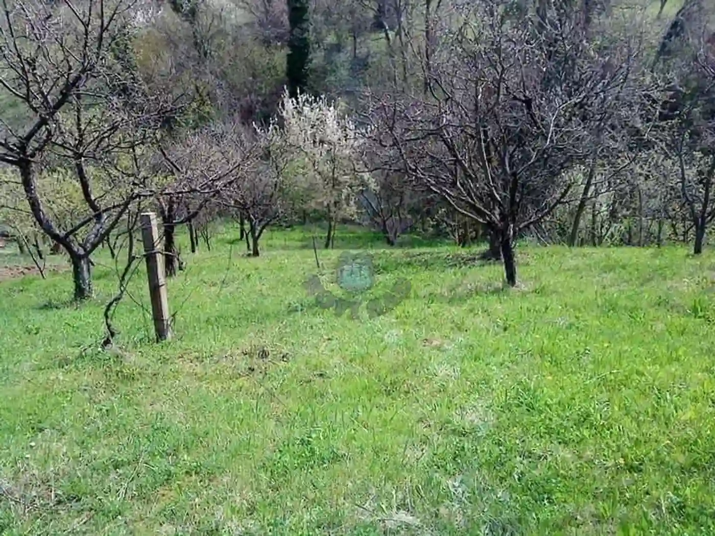 plac na prodaju Sremska Kamenica 1150m2 363376