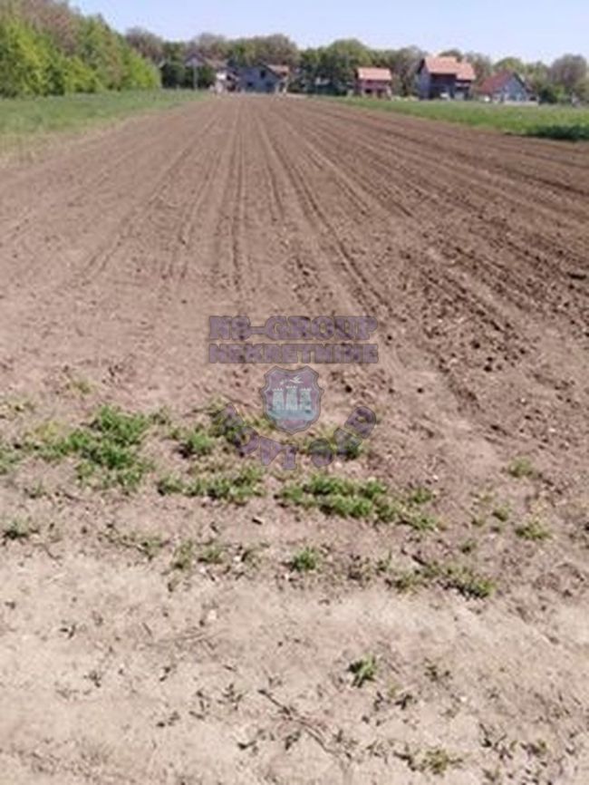 plac na prodaju Rumenka, 1738m2 258325