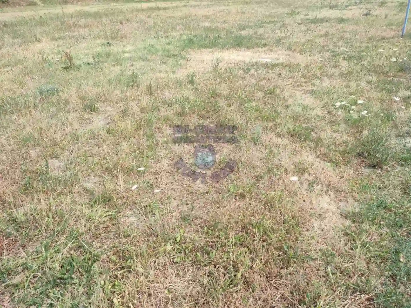 plac na prodaju Novi Sad 6029m2 399122