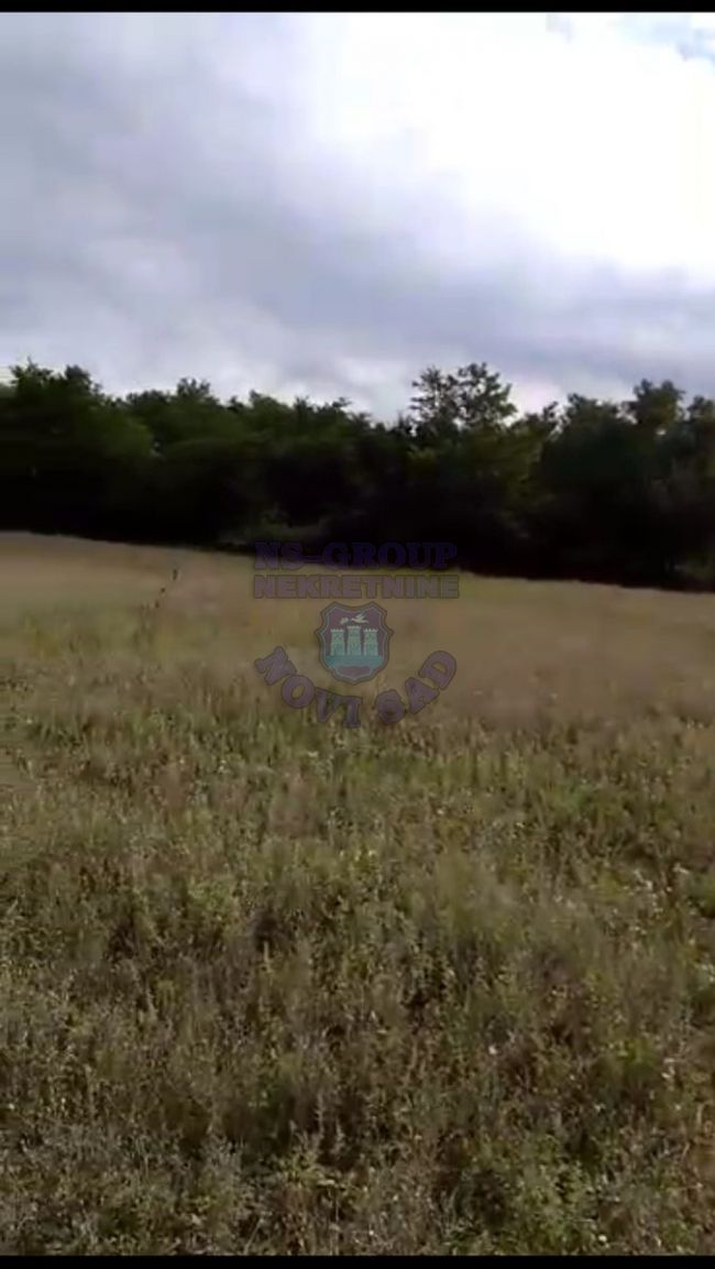 plac na prodaju Vrdnik, 1954m2 411262