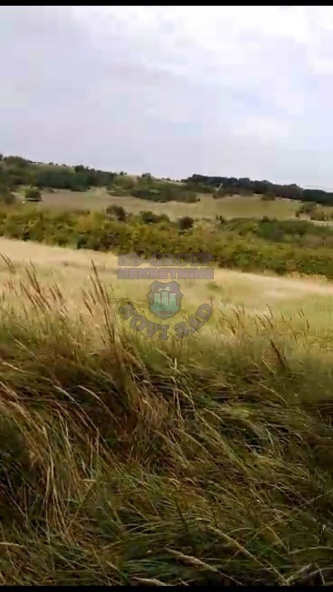 plac na prodaju Vrdnik, 1085m2 411260