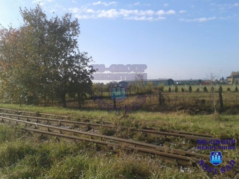 plac na prodaju Čurug, 30294m2 412973