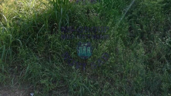 plac na prodaju Sremska Kamenica, 5634m2 413788