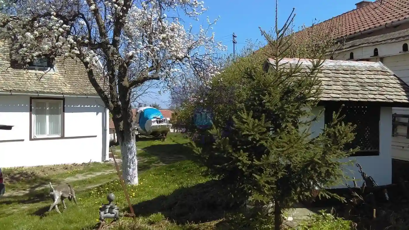 kuca na prodaju Čerević 334m2 413830