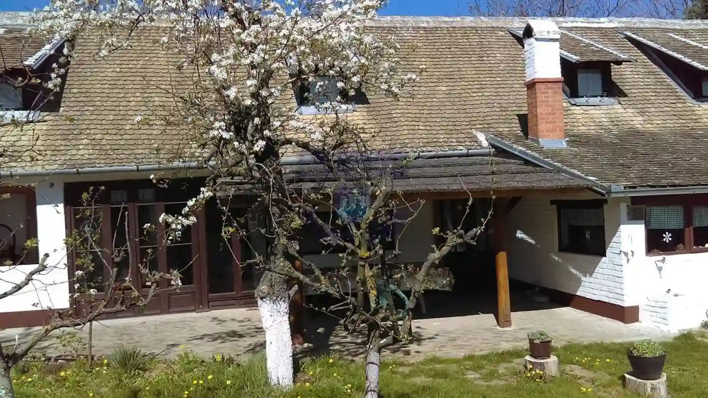 kuca na prodaju Čerević 334m2 413830