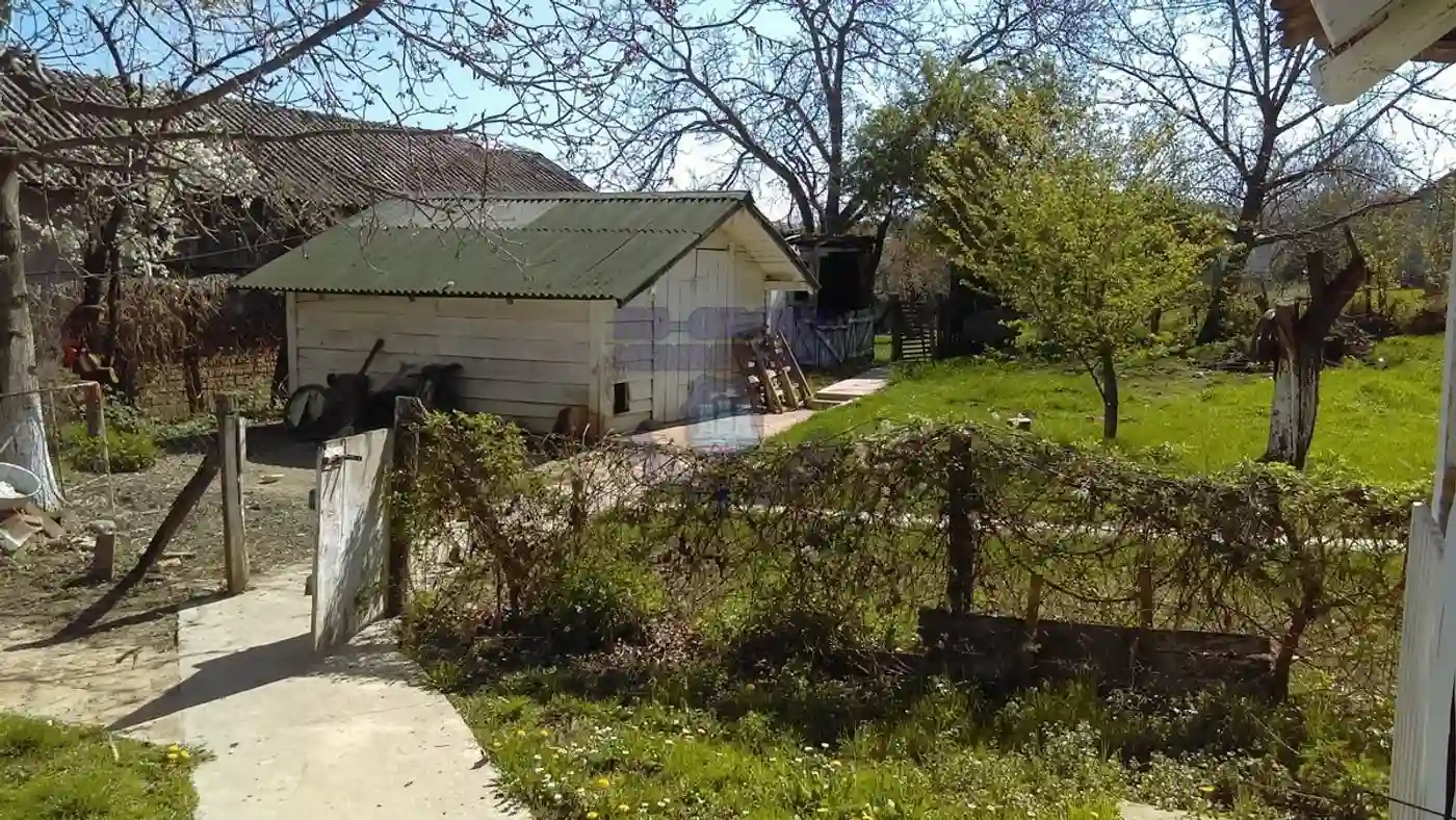 kuca na prodaju Čerević 334m2 413830