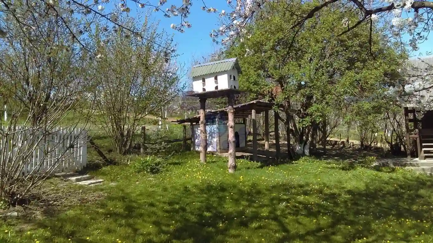 kuca na prodaju Čerević 334m2 413830