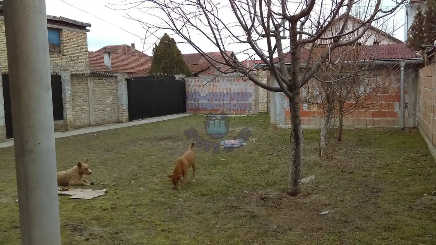 kuca na prodaju Novi Sad 204m2 411070