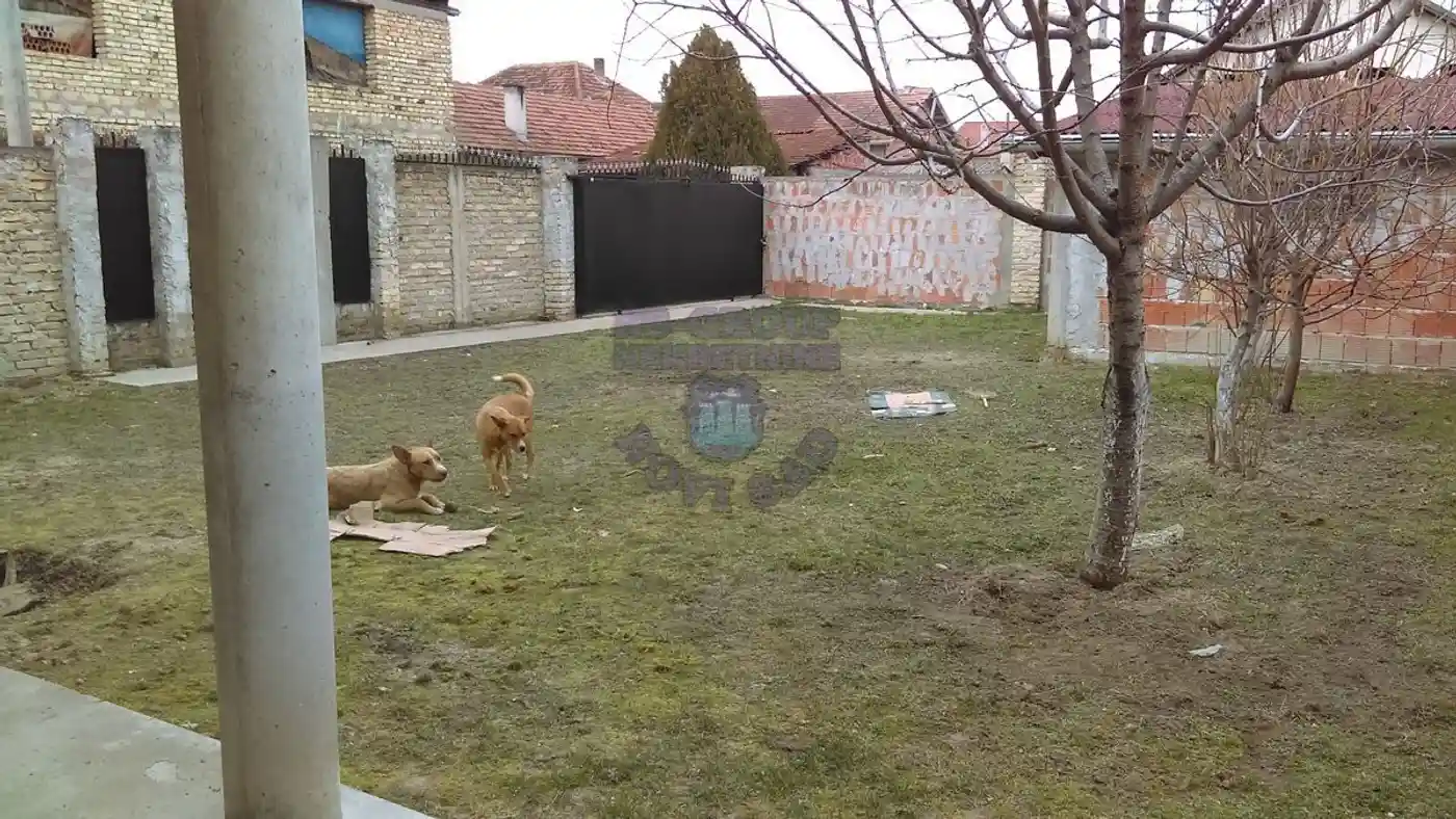 kuca na prodaju Novi Sad 204m2 411070