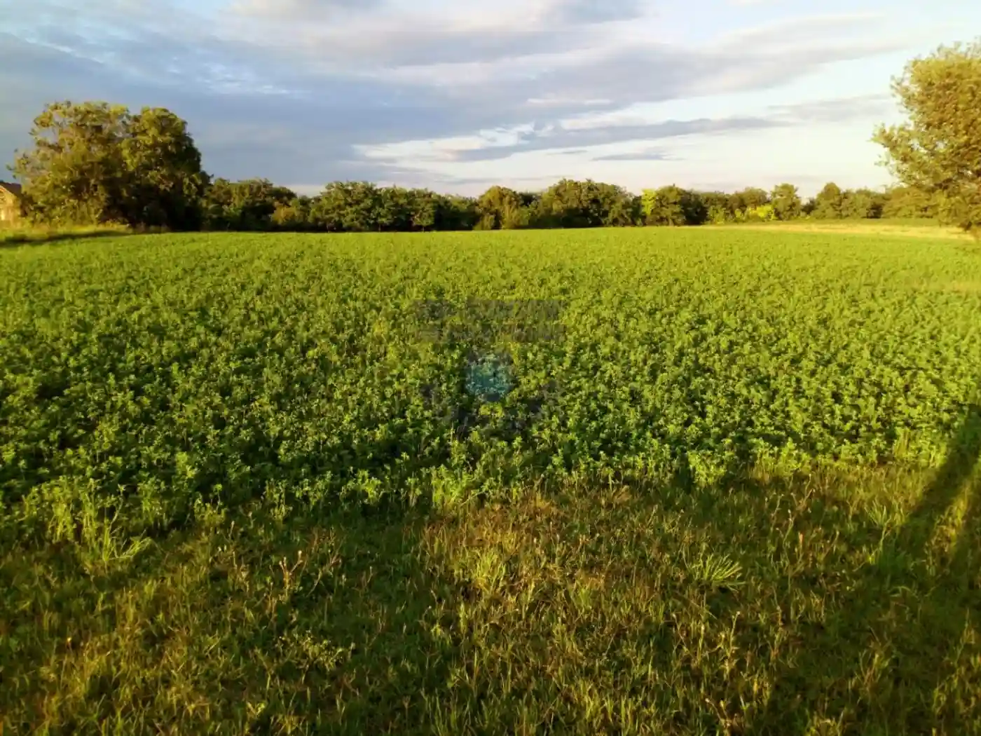 plac na prodaju Inđija, 6995m2 418859