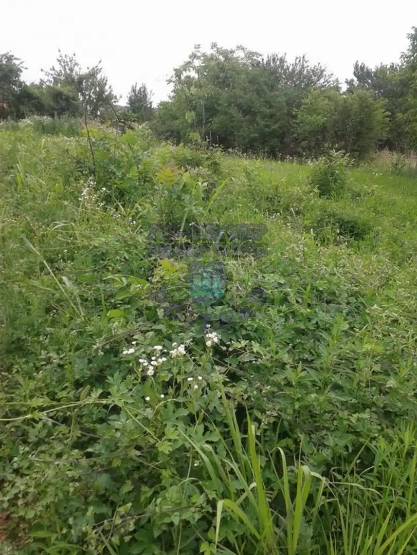 plac na prodaju Sremska Kamenica 700m2 419647