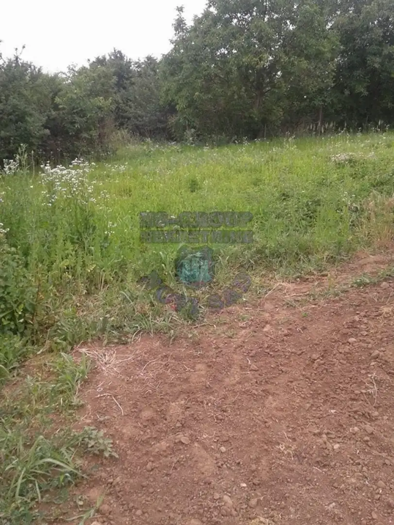 plac na prodaju Sremska Kamenica 700m2 419647