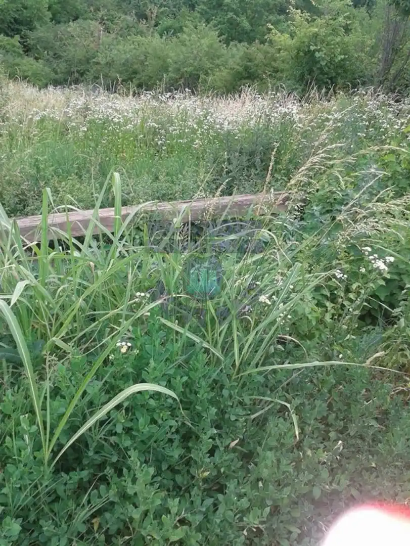plac na prodaju Sremska Kamenica 700m2 419647