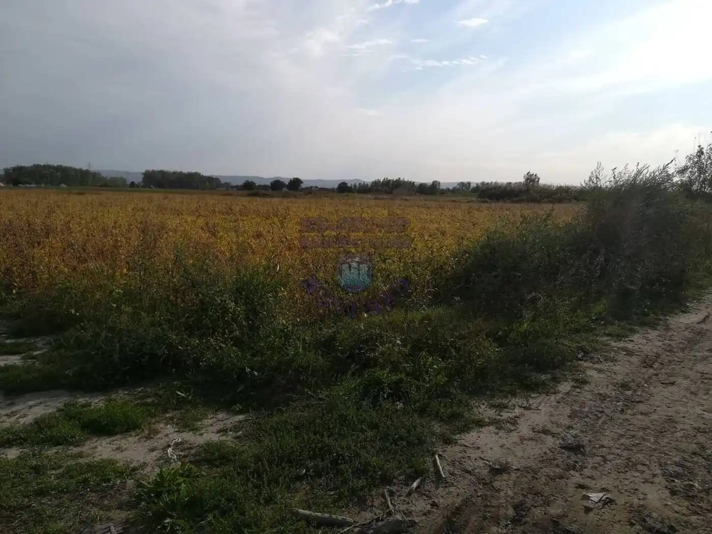 plac na prodaju Novi Sad, 5610m2 423090