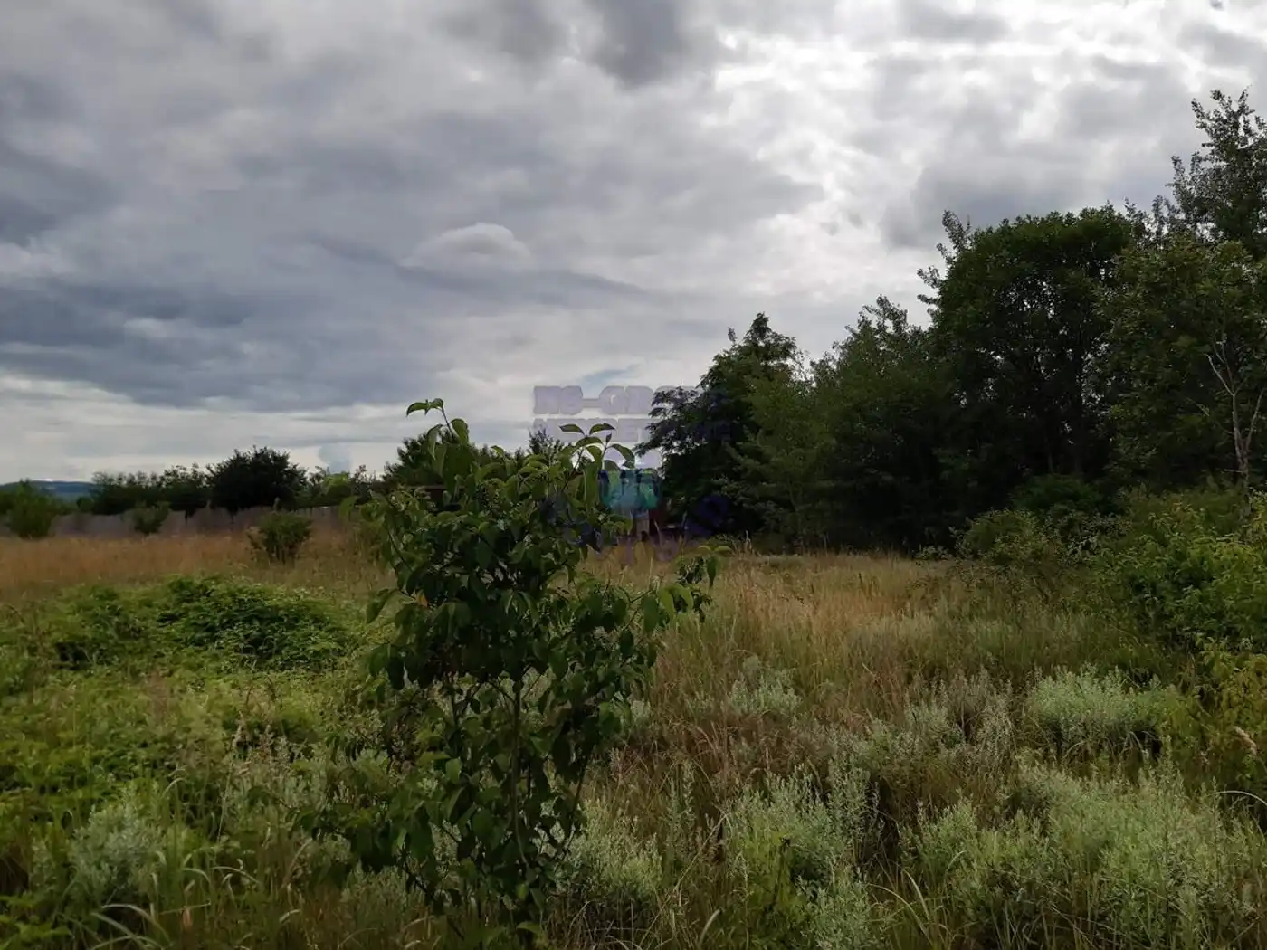 plac na prodaju Veternik 600m2 423327