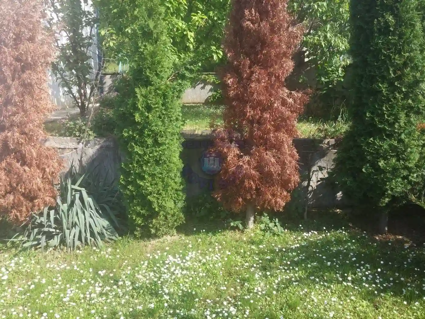 kuca na prodaju Petrovaradin 55m2 429912