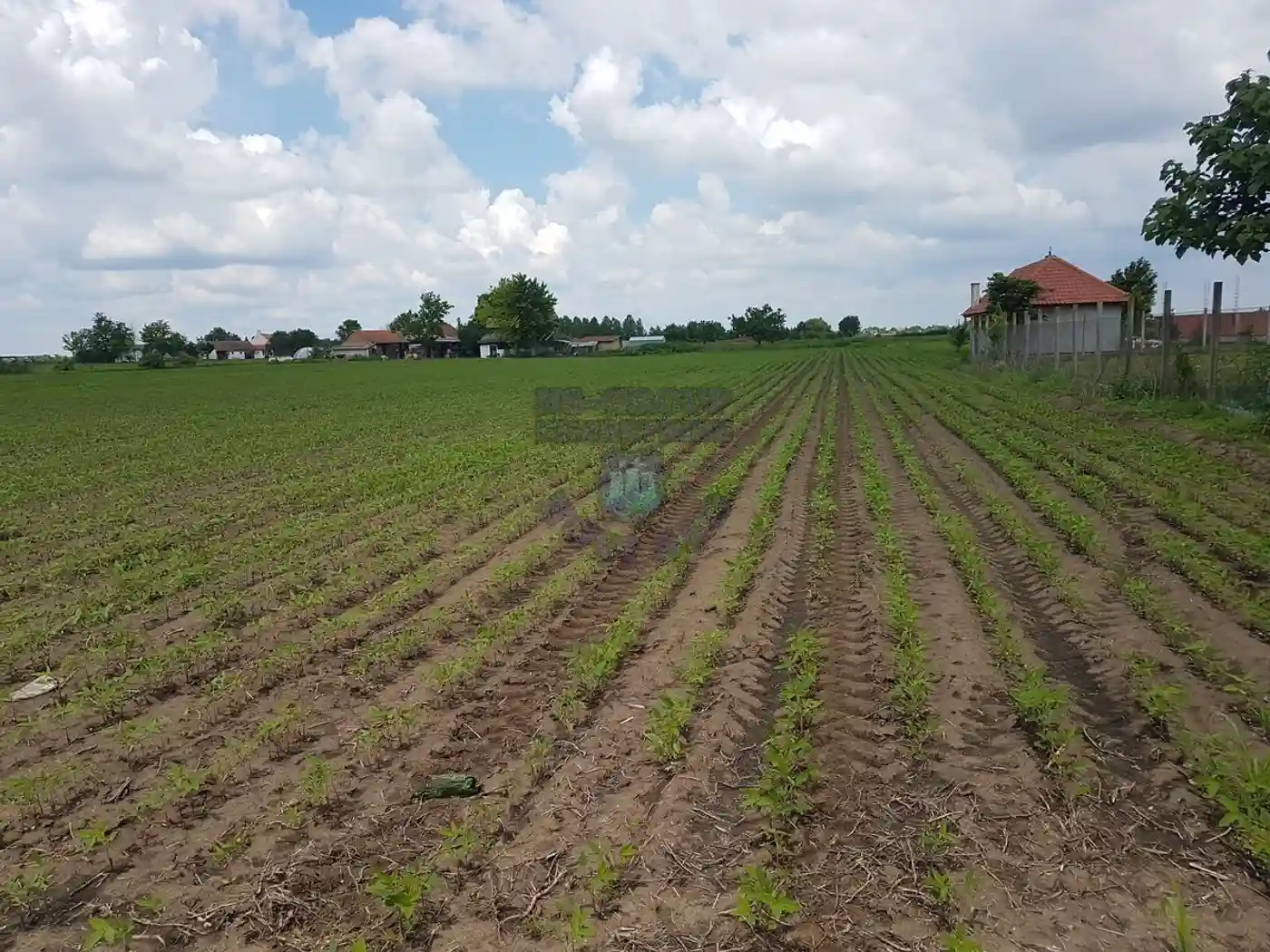 plac na prodaju Čenej 5755m2 445023