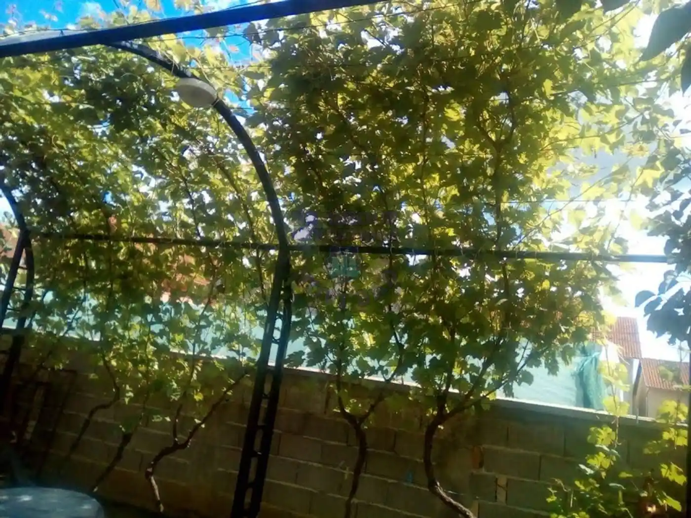 kuca na prodaju Novi Sad 141m2 447961