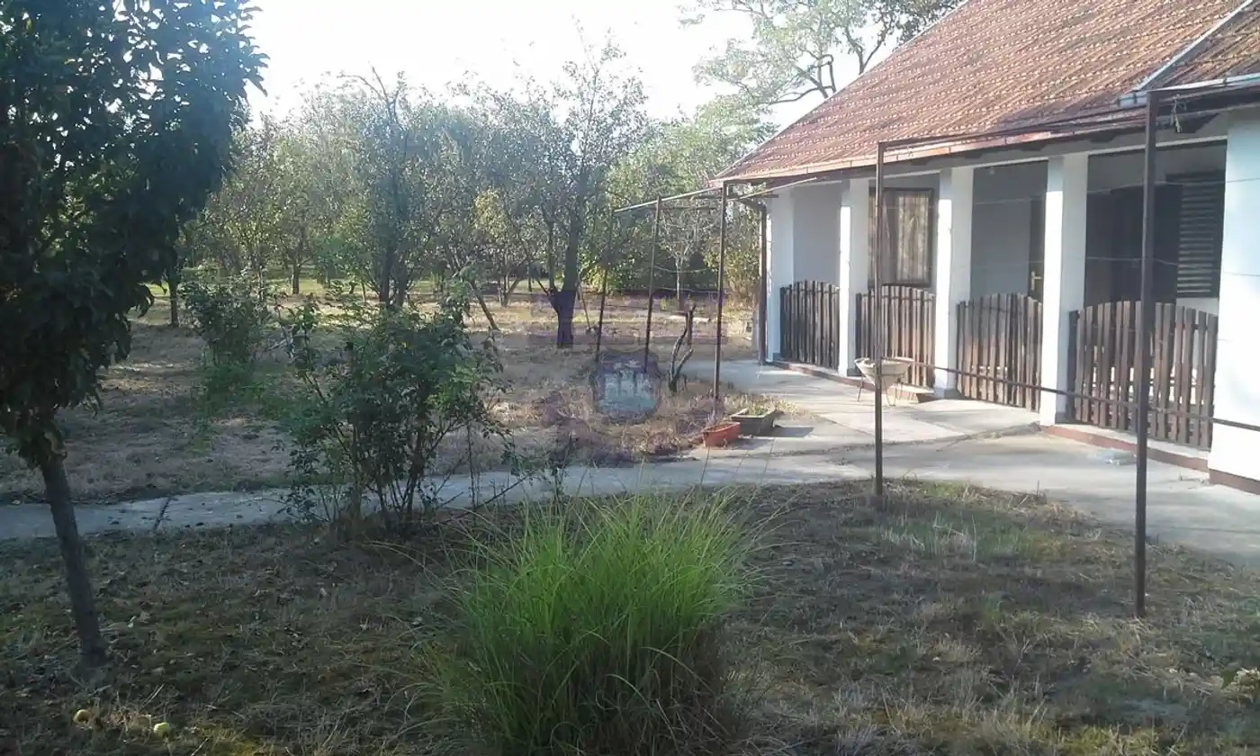 kuca na prodaju Novi Sad, 178m2 448336