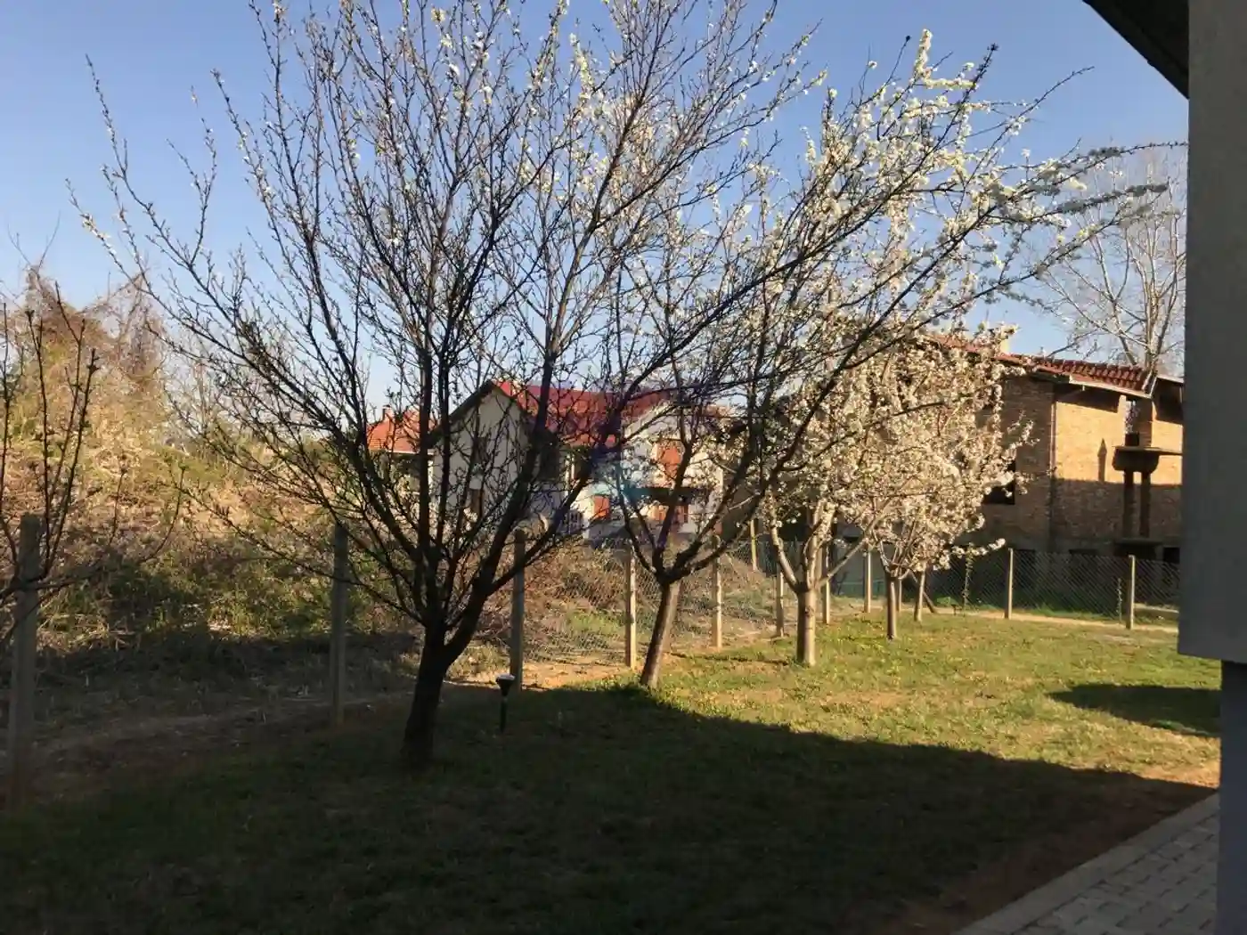 kuca na prodaju Sremska Kamenica 384m2 448540