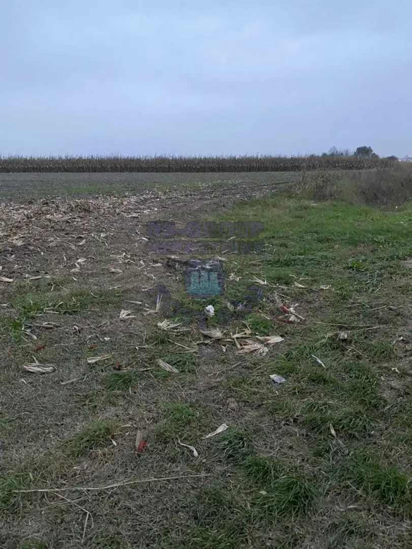 plac na prodaju Bački Jarak, 6768m2 460672