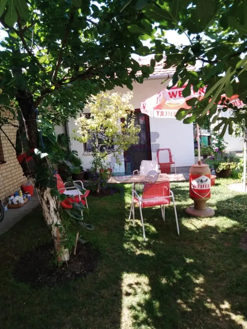 kuca na prodaju Bač, 100m2 465117