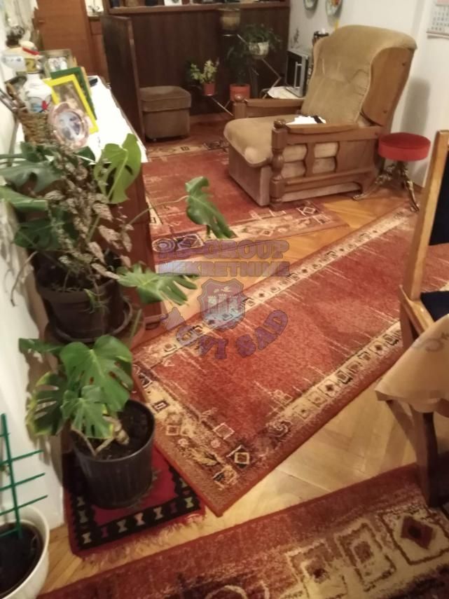 kuca na prodaju Bač 100m2 465117
