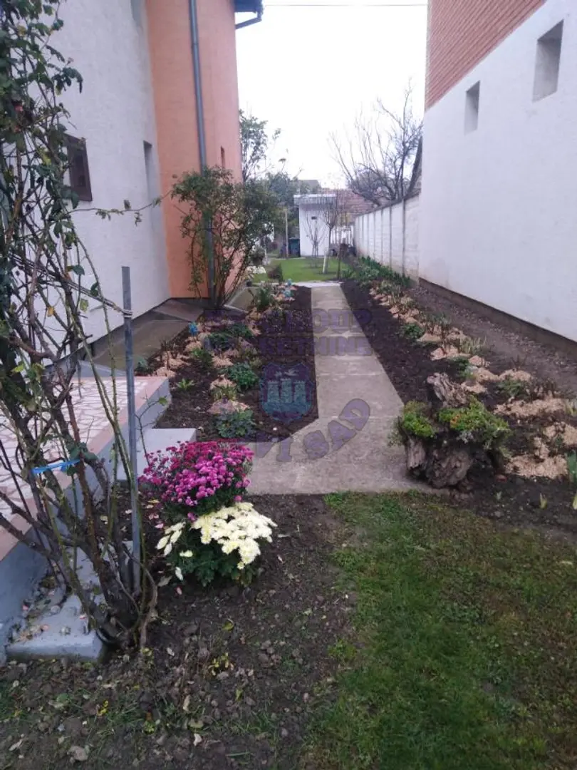 kuca na prodaju Bač 100m2 465117