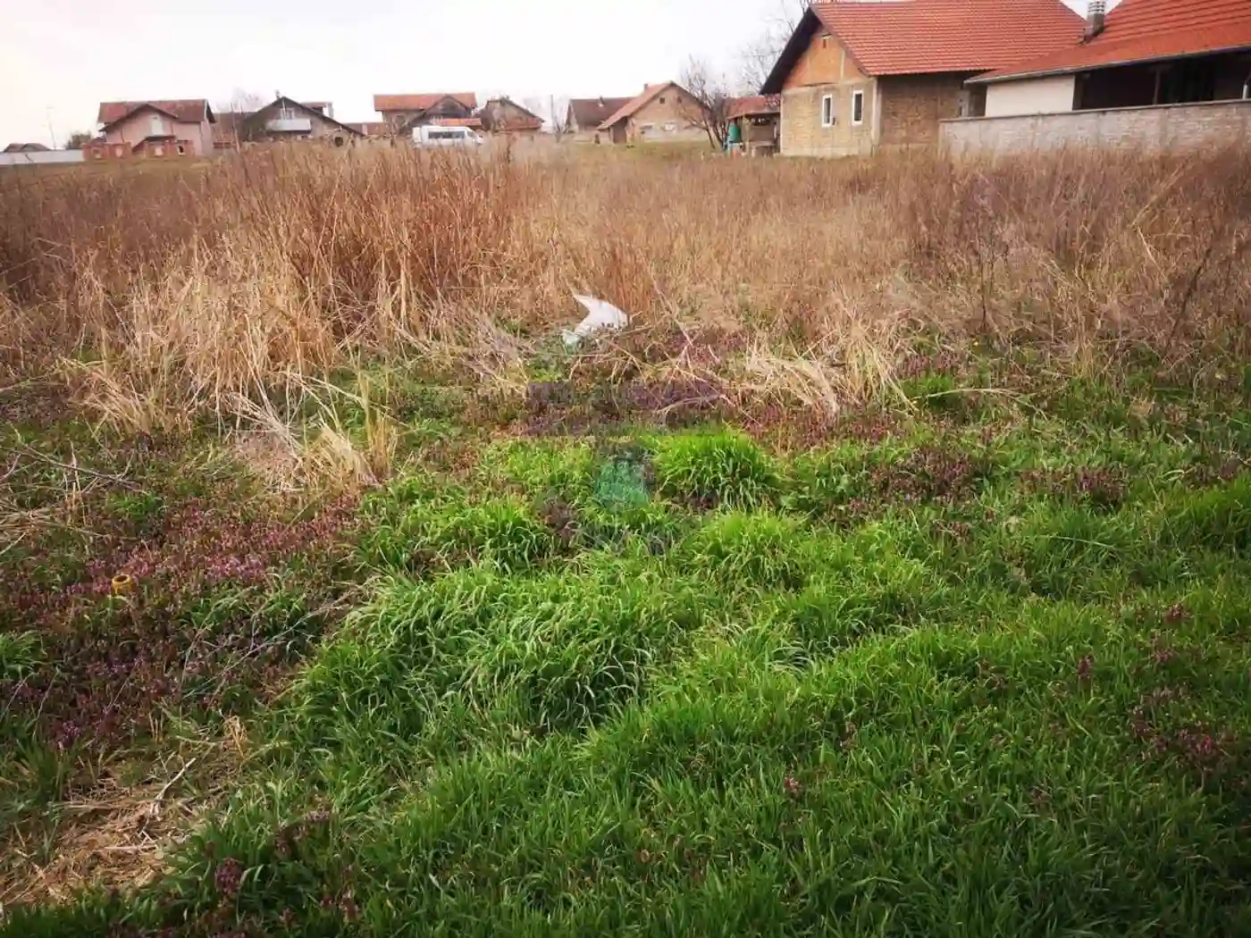 plac na prodaju Novi Sad, 432m2 471570