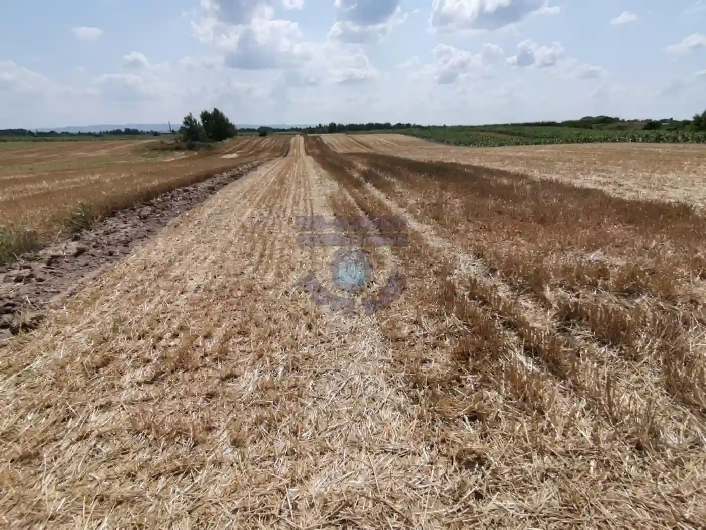 plac na prodaju Kać 5869m2 477714