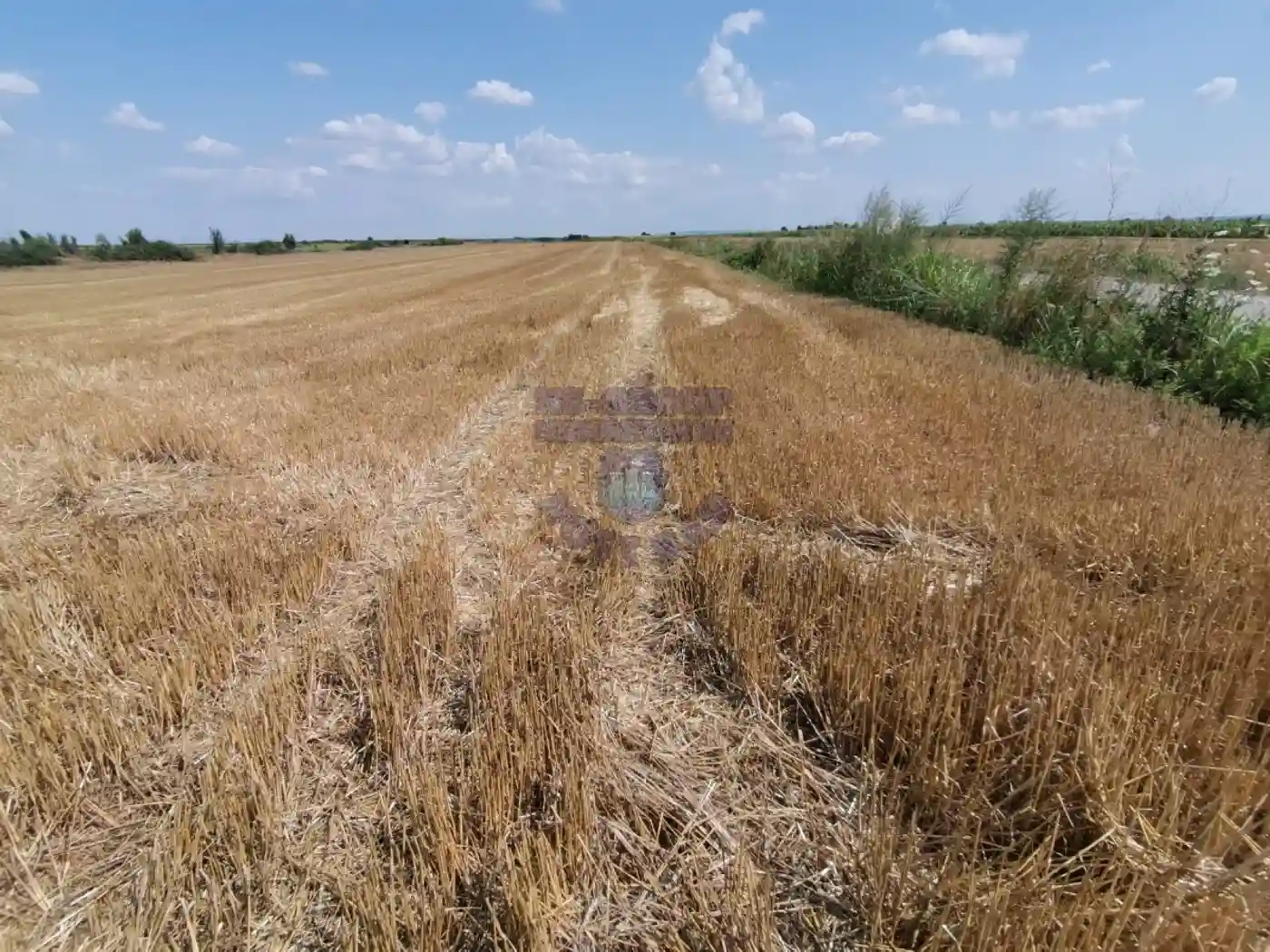 plac na prodaju Kać, 9229m2 477840