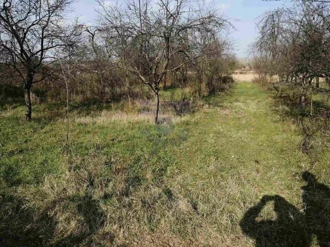 plac na prodaju Ledinci, 2440m2 482491