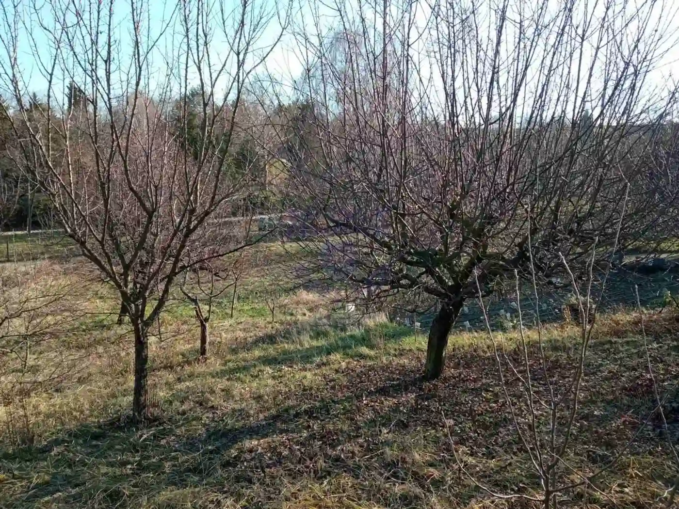 kuca na prodaju Petrovaradin 111m2 485776