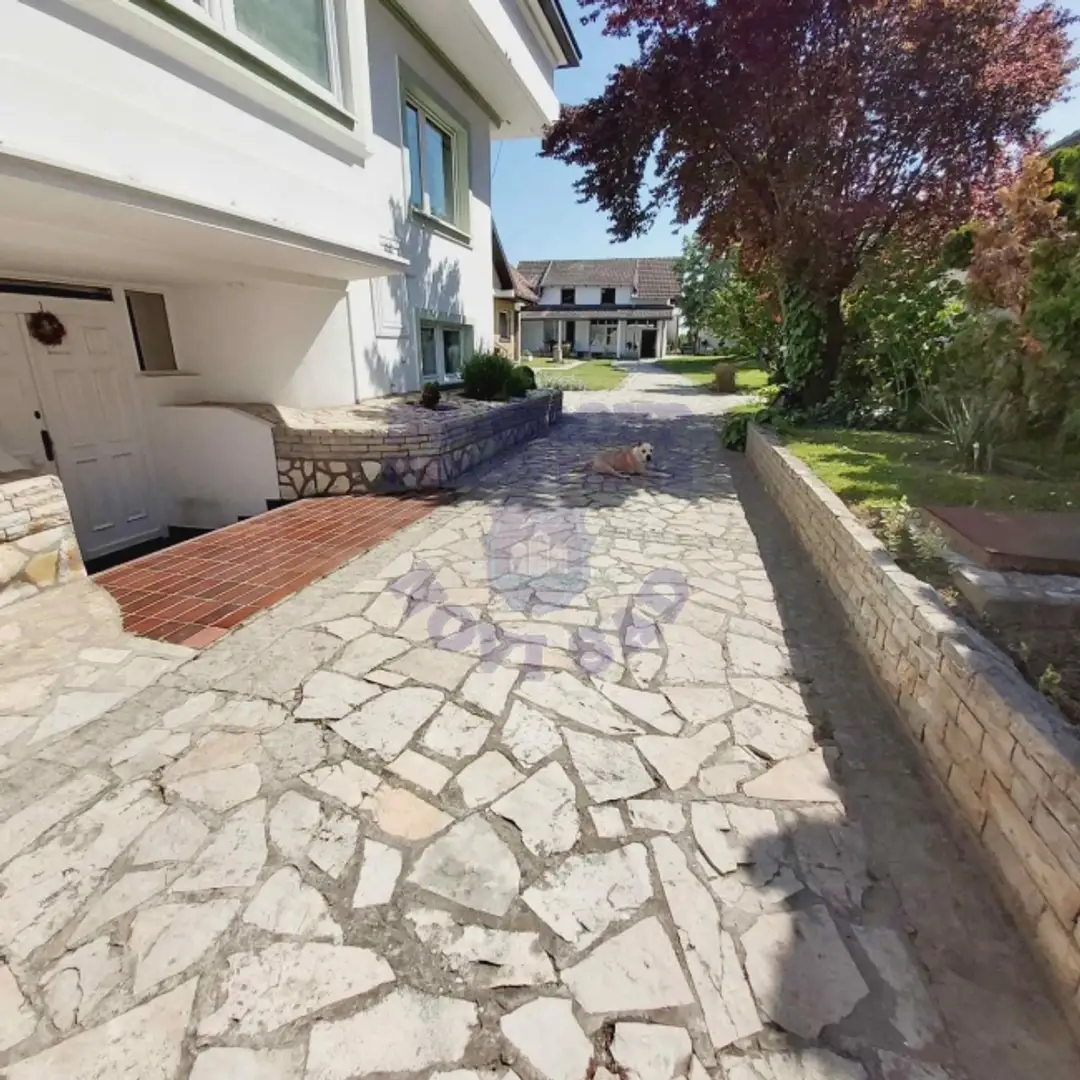 kuca na prodaju Veternik 655m2 486118