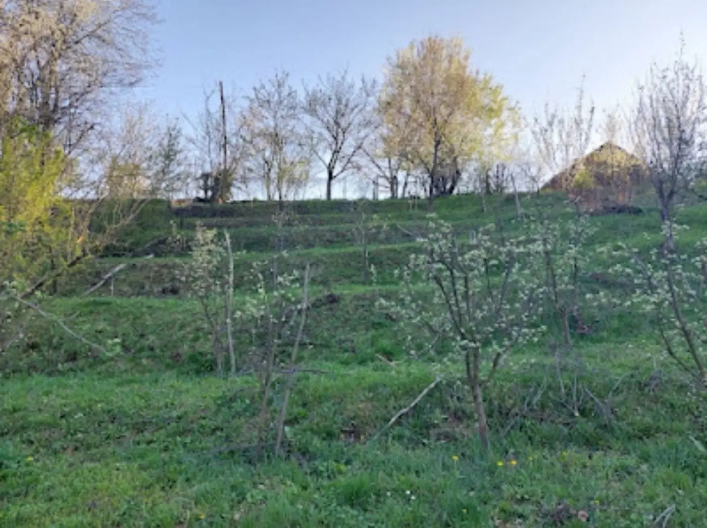 kuca na prodaju Čortanovci 98m2 555262