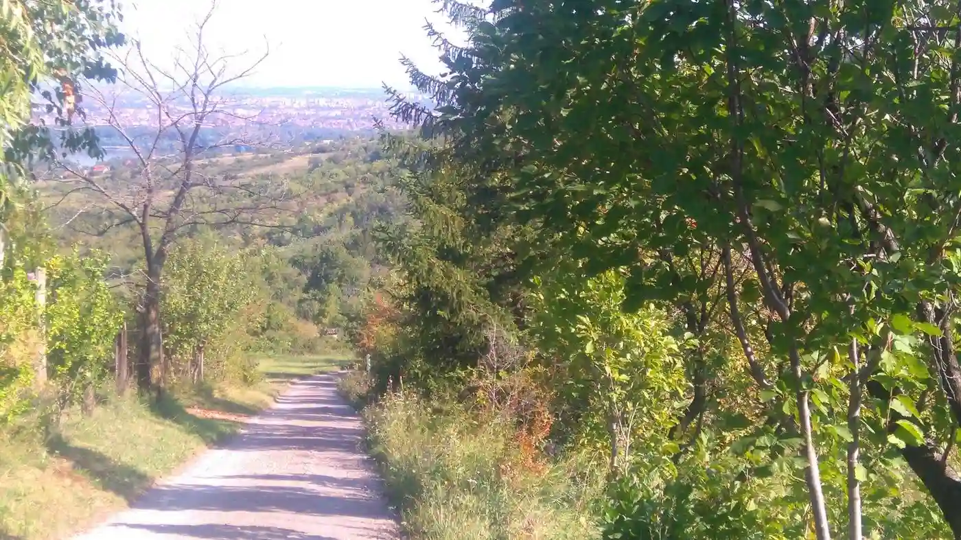 plac na prodaju Sremska Kamenica 2694m2 489529