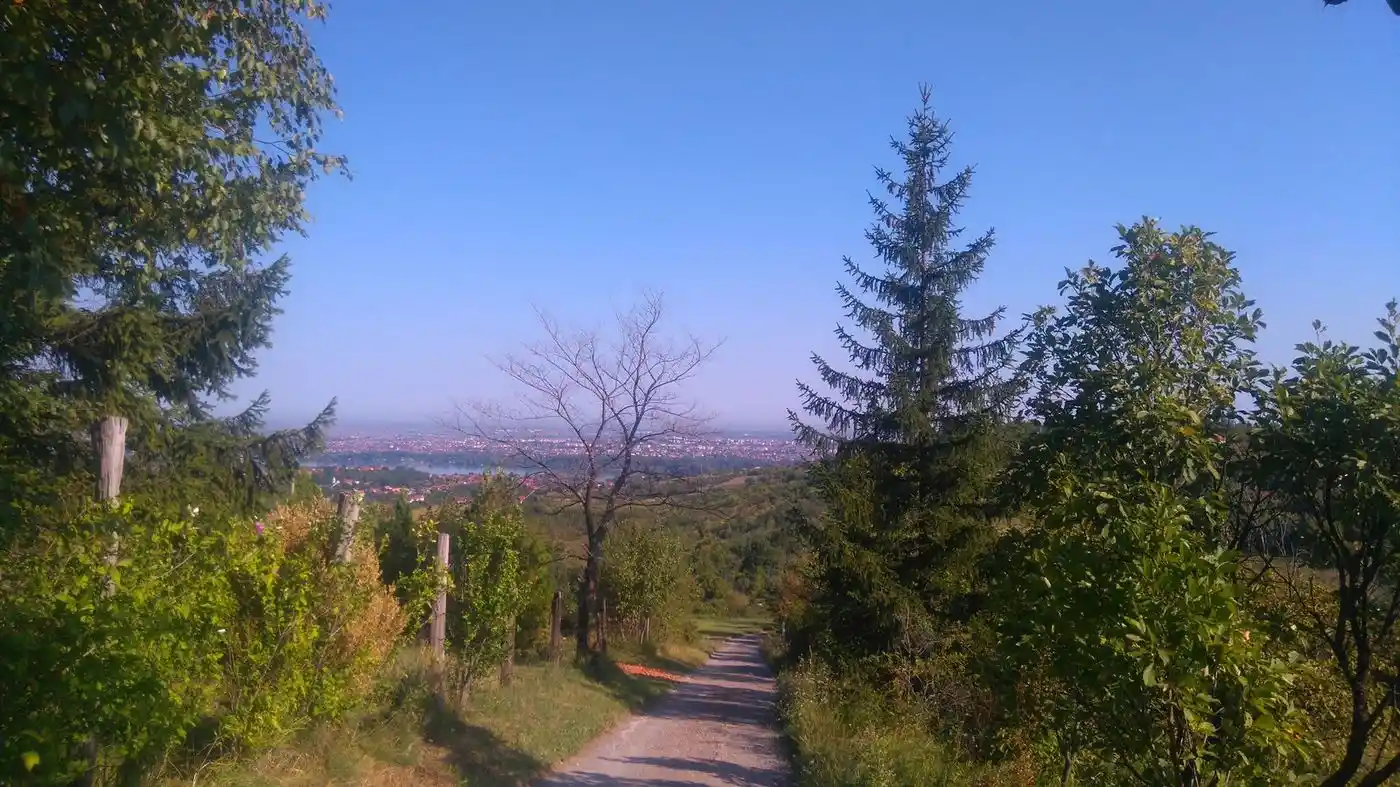 plac na prodaju Sremska Kamenica 2694m2 489529