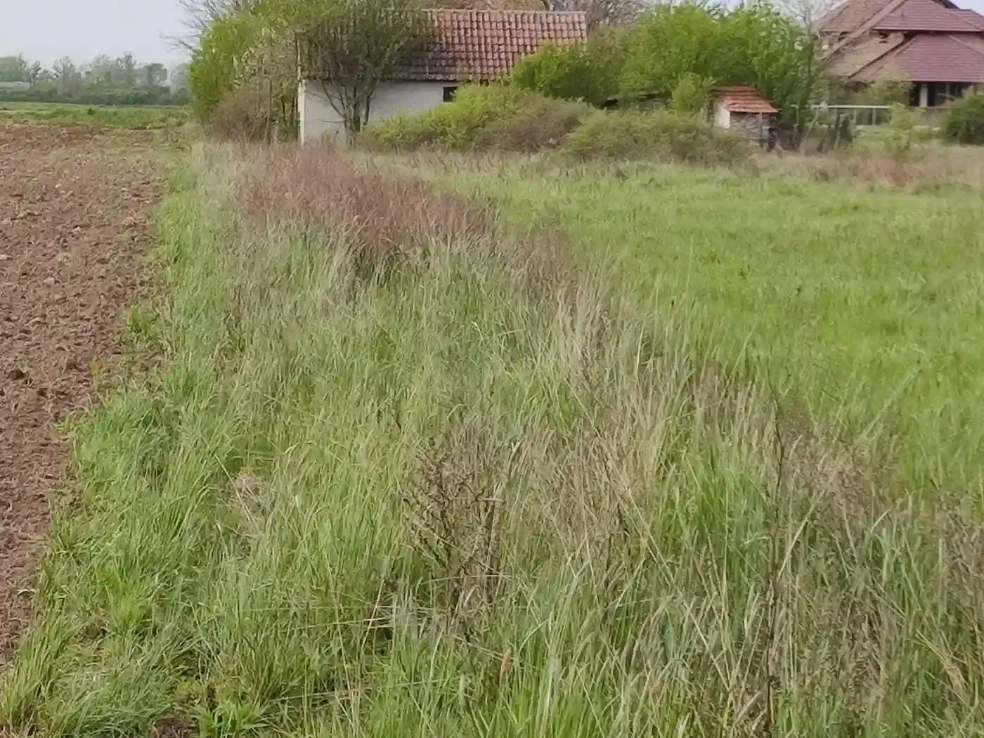 plac na prodaju Novi Sad 5553m2 489739