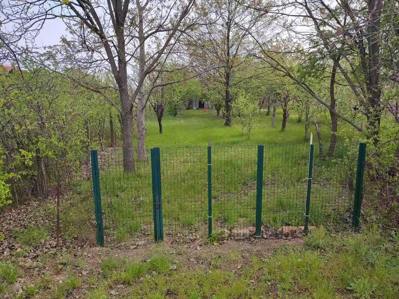 plac na prodaju Novi Sad 5553m2 489739
