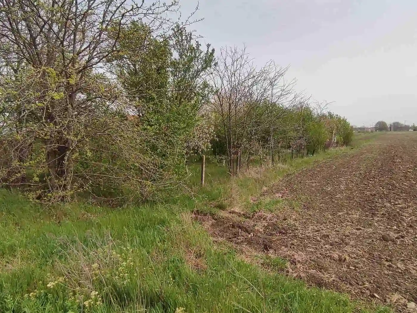 plac na prodaju Novi Sad 5553m2 489739