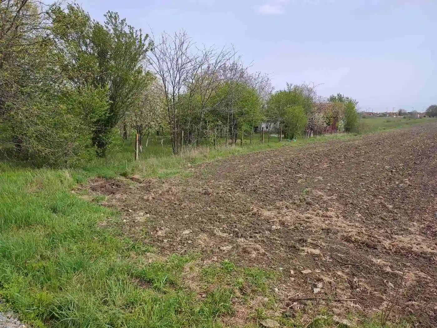 plac na prodaju Novi Sad 5553m2 489739