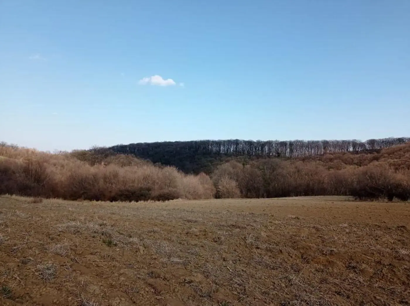 plac na prodaju Bukovac, 3764m2 491344