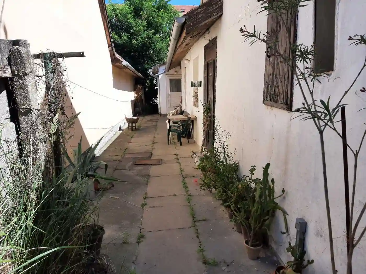 kuca na prodaju Novi Sad, 155m2 491965