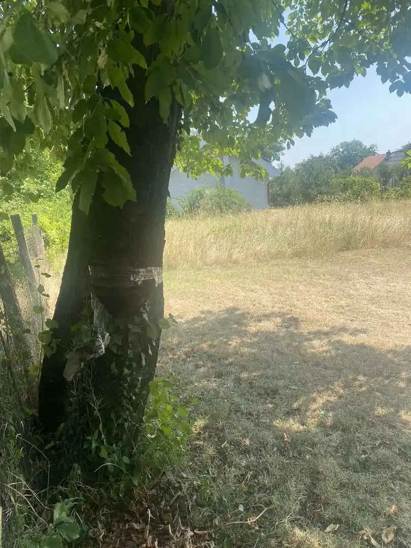 plac na prodaju Sremski Karlovci, 1582m2 495193